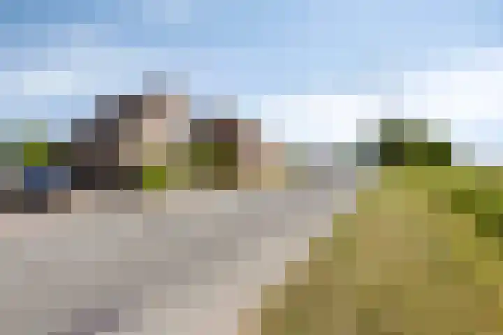Hulsterweg 121 Kuitaart thumbnail 4