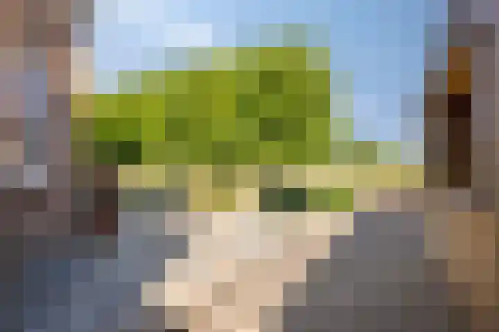 Hulsterweg 121 Kuitaart thumbnail 42