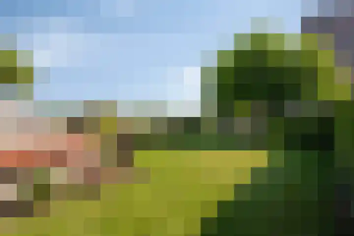 Hulsterweg 121 Kuitaart thumbnail 44