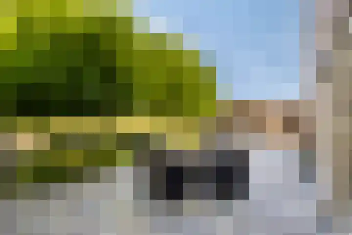 Hulsterweg 121 Kuitaart thumbnail 45