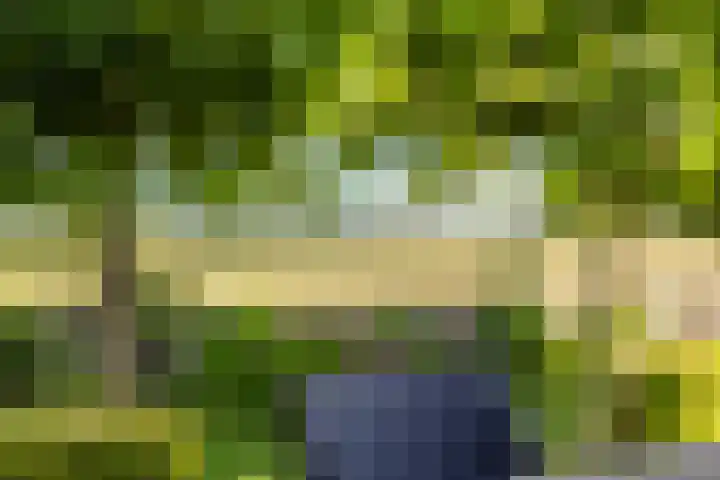 Hulsterweg 121 Kuitaart thumbnail 46