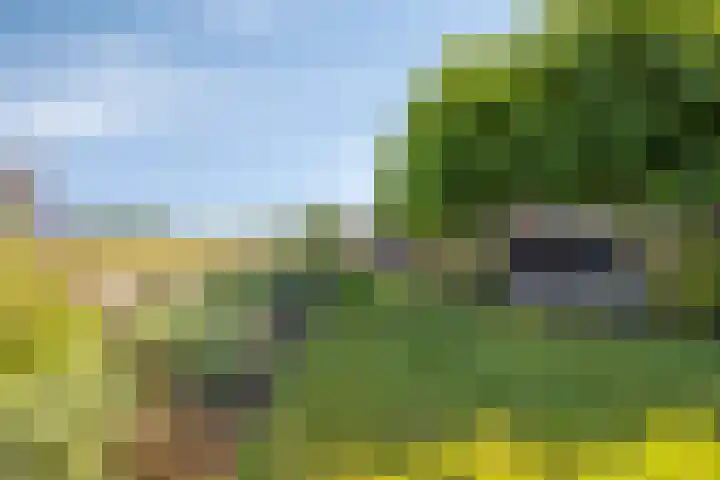 Hulsterweg 121 Kuitaart thumbnail 49