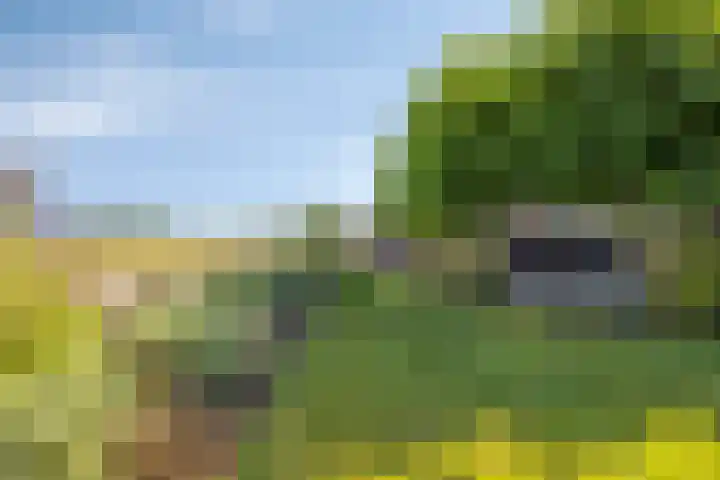 Hulsterweg 121 Kuitaart thumbnail 5