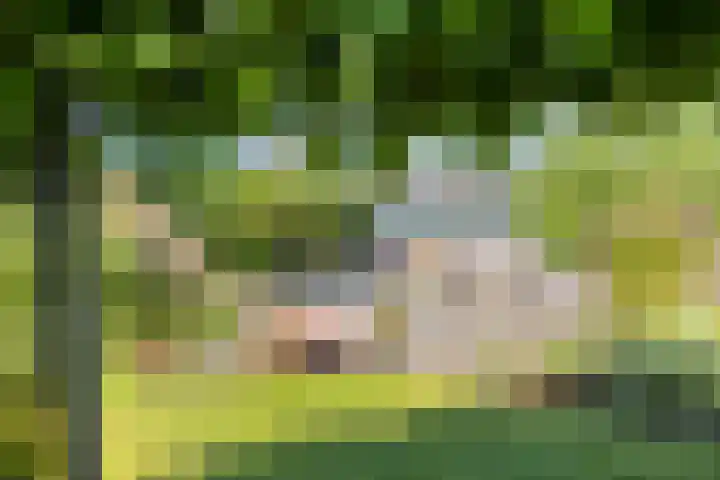 Hulsterweg 121 Kuitaart thumbnail 50