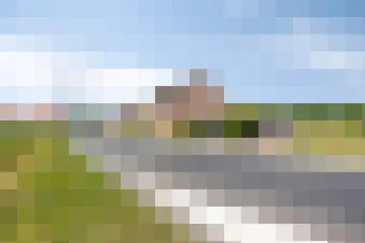 Hulsterweg 121 Kuitaart thumbnail 52