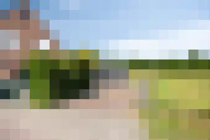 Hulsterweg 121 Kuitaart thumbnail 7