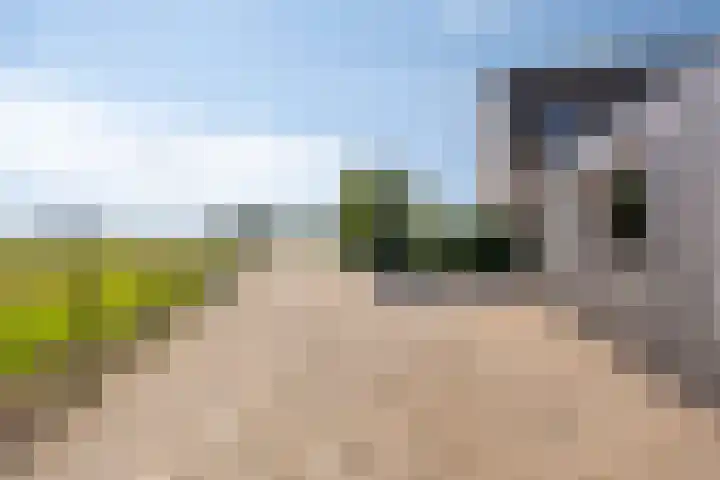 Hulsterweg 121 Kuitaart thumbnail 8