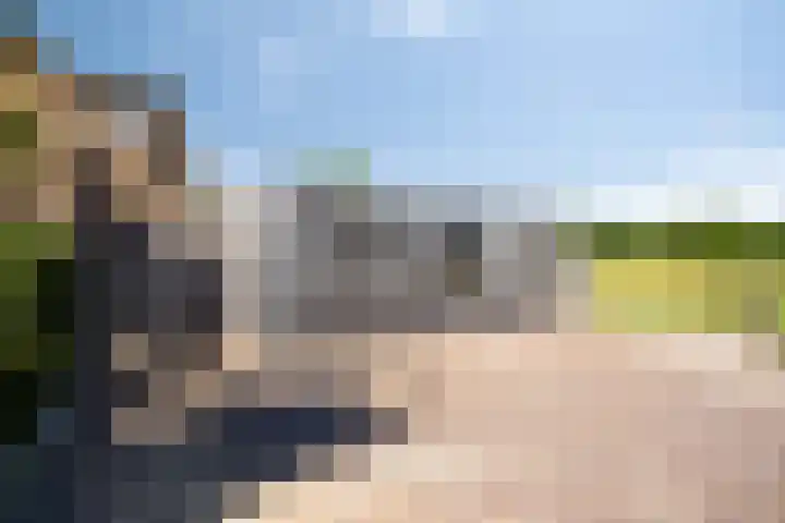 Hulsterweg 121 Kuitaart thumbnail 9