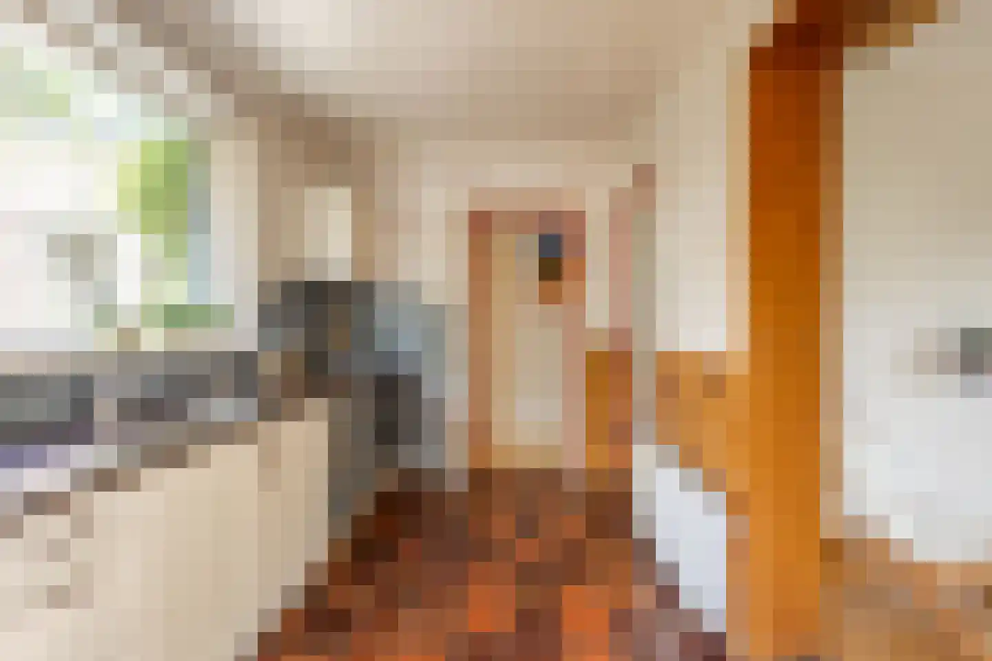 Hulsterweg 132 Terhole thumbnail 11