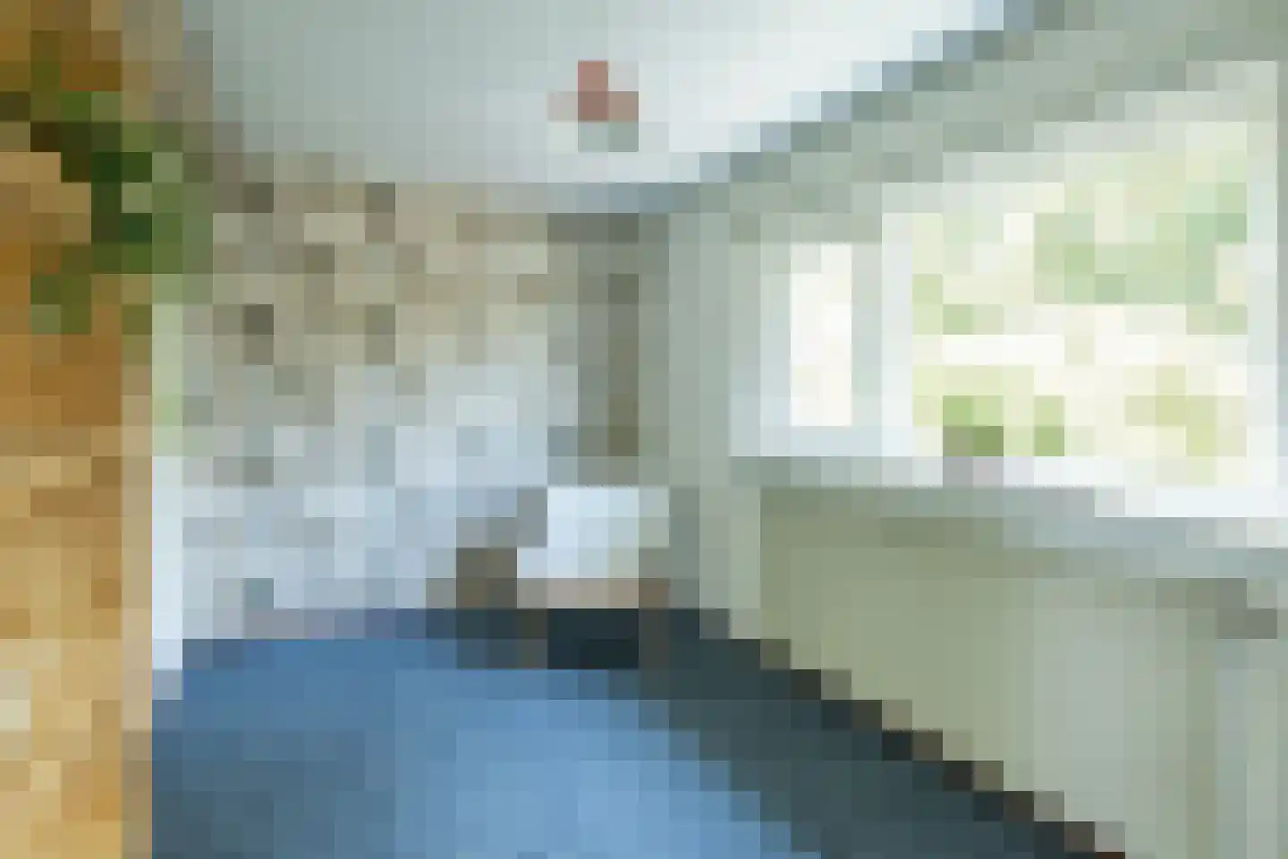 Hulsterweg 132 Terhole thumbnail 19