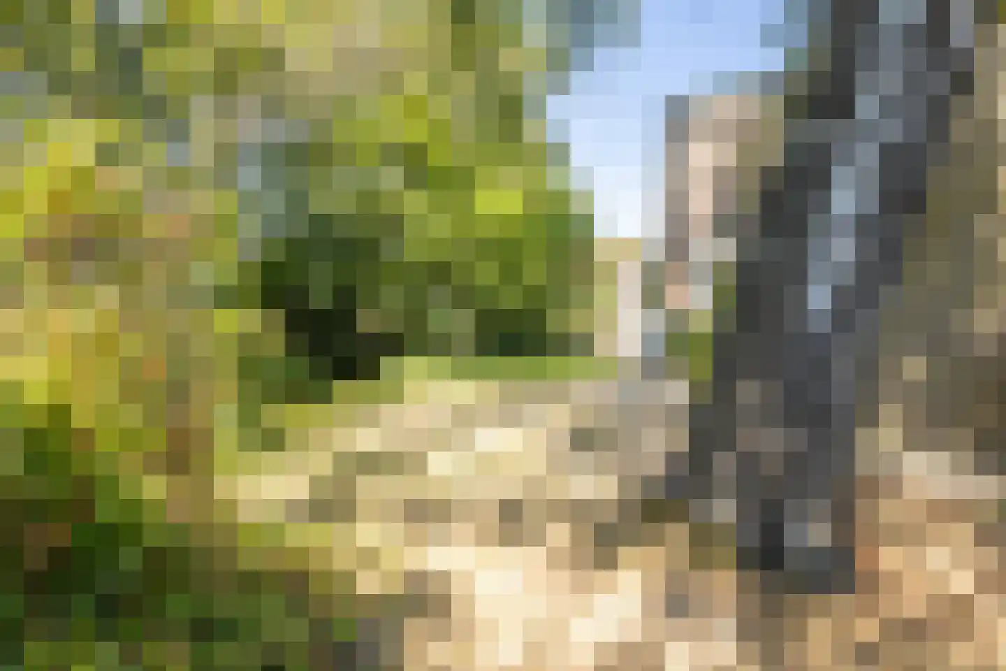 Hulsterweg 132 Terhole thumbnail 27