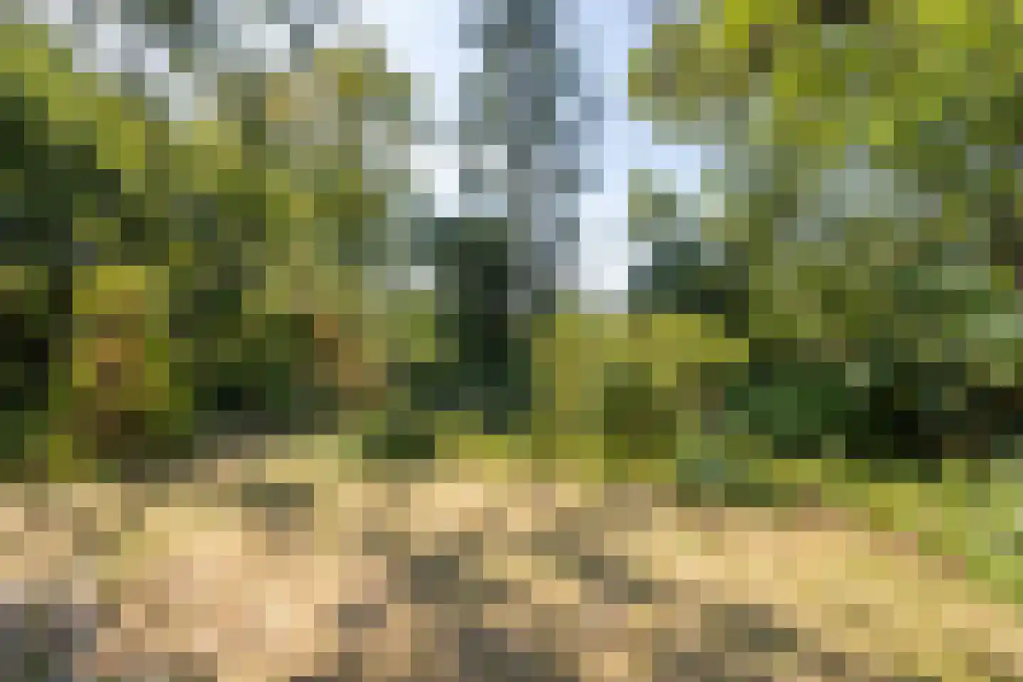 Hulsterweg 132 Terhole thumbnail 28