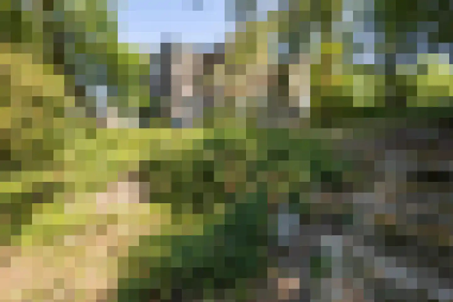 Hulsterweg 132 Terhole thumbnail 31