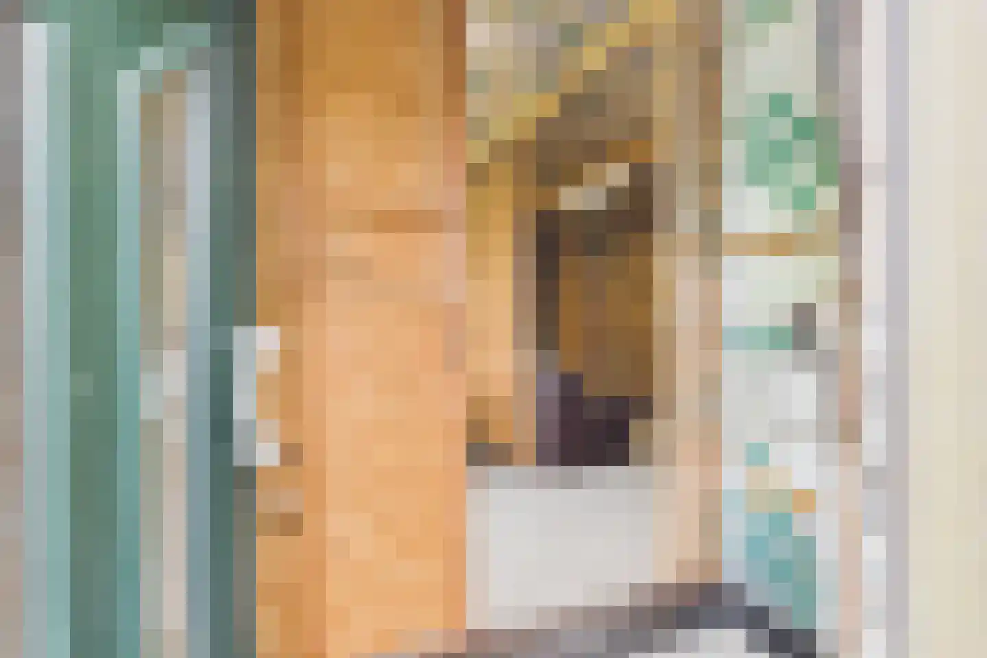 Hulsterweg 144 Terhole thumbnail 10
