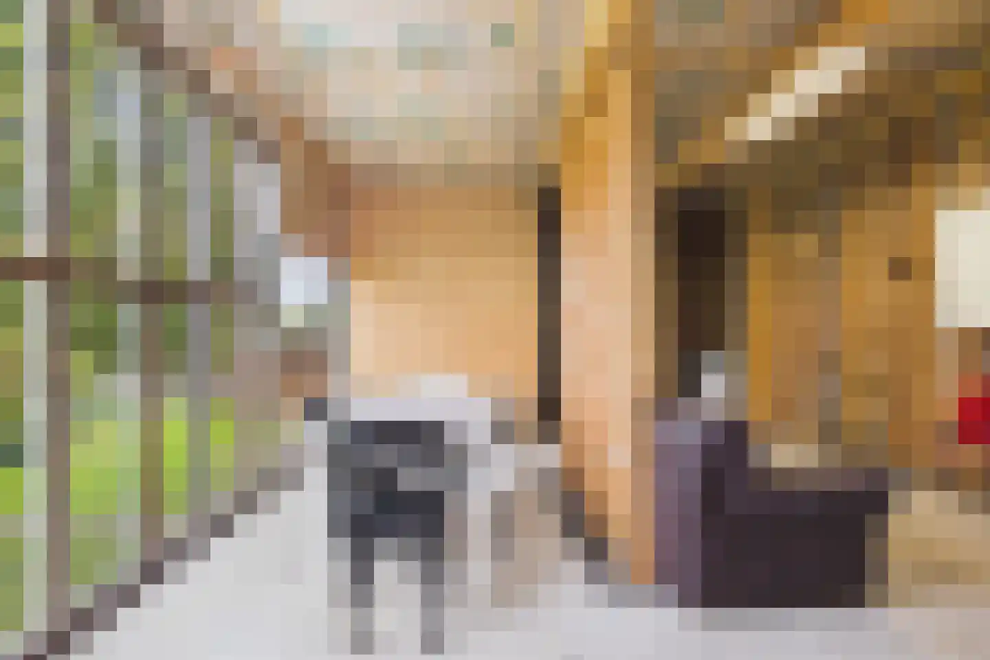 Hulsterweg 144 Terhole thumbnail 11