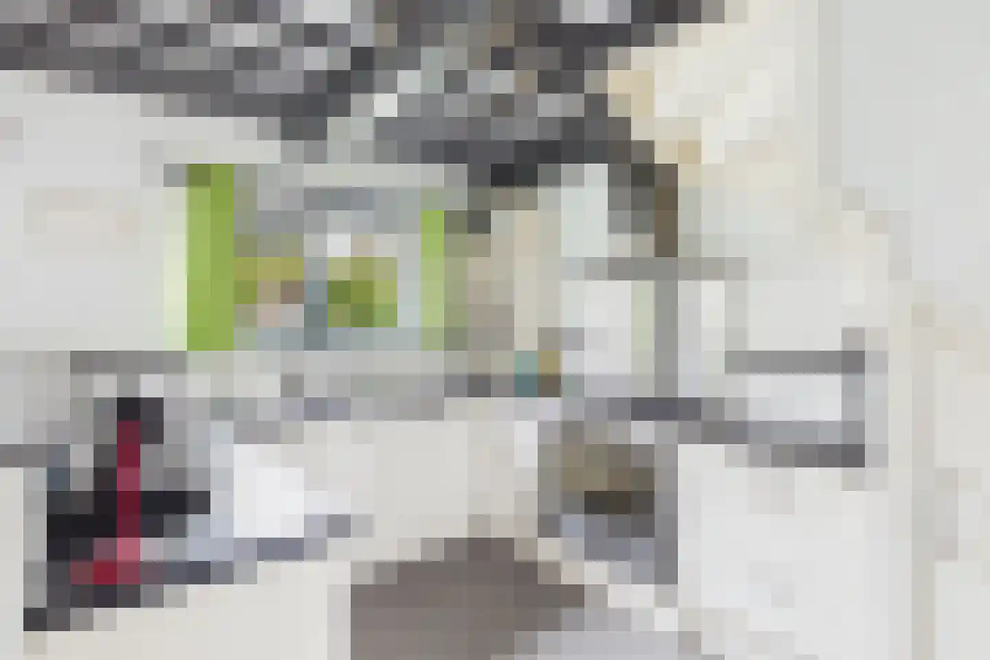 Hulsterweg 144 Terhole thumbnail 19