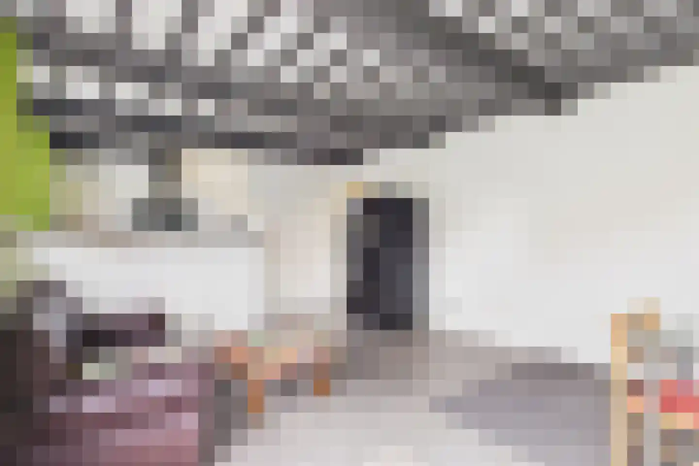 Hulsterweg 144 Terhole thumbnail 23