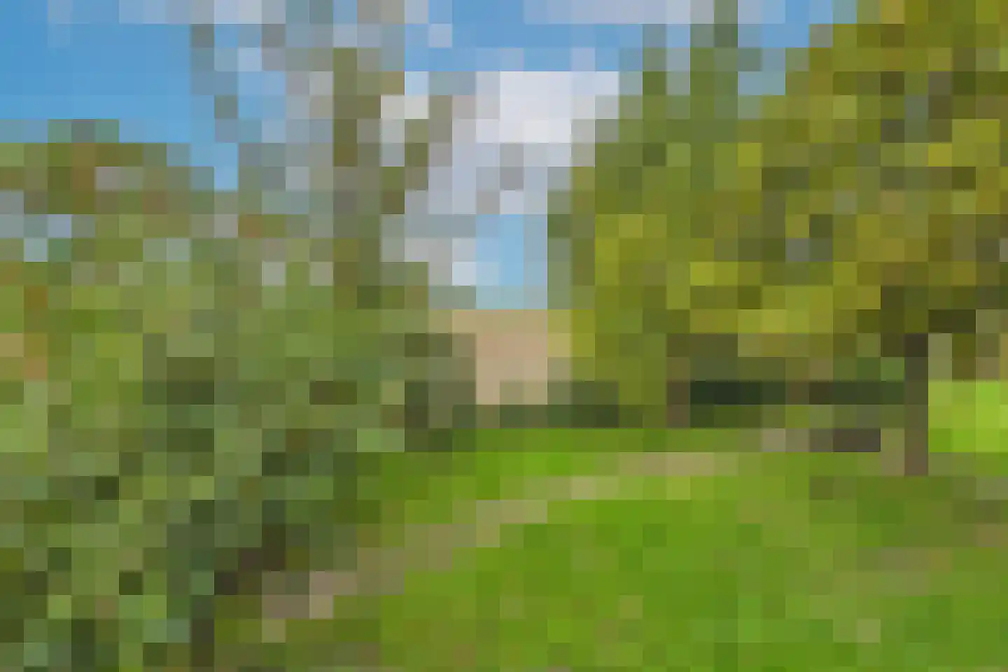 Hulsterweg 144 Terhole thumbnail 38
