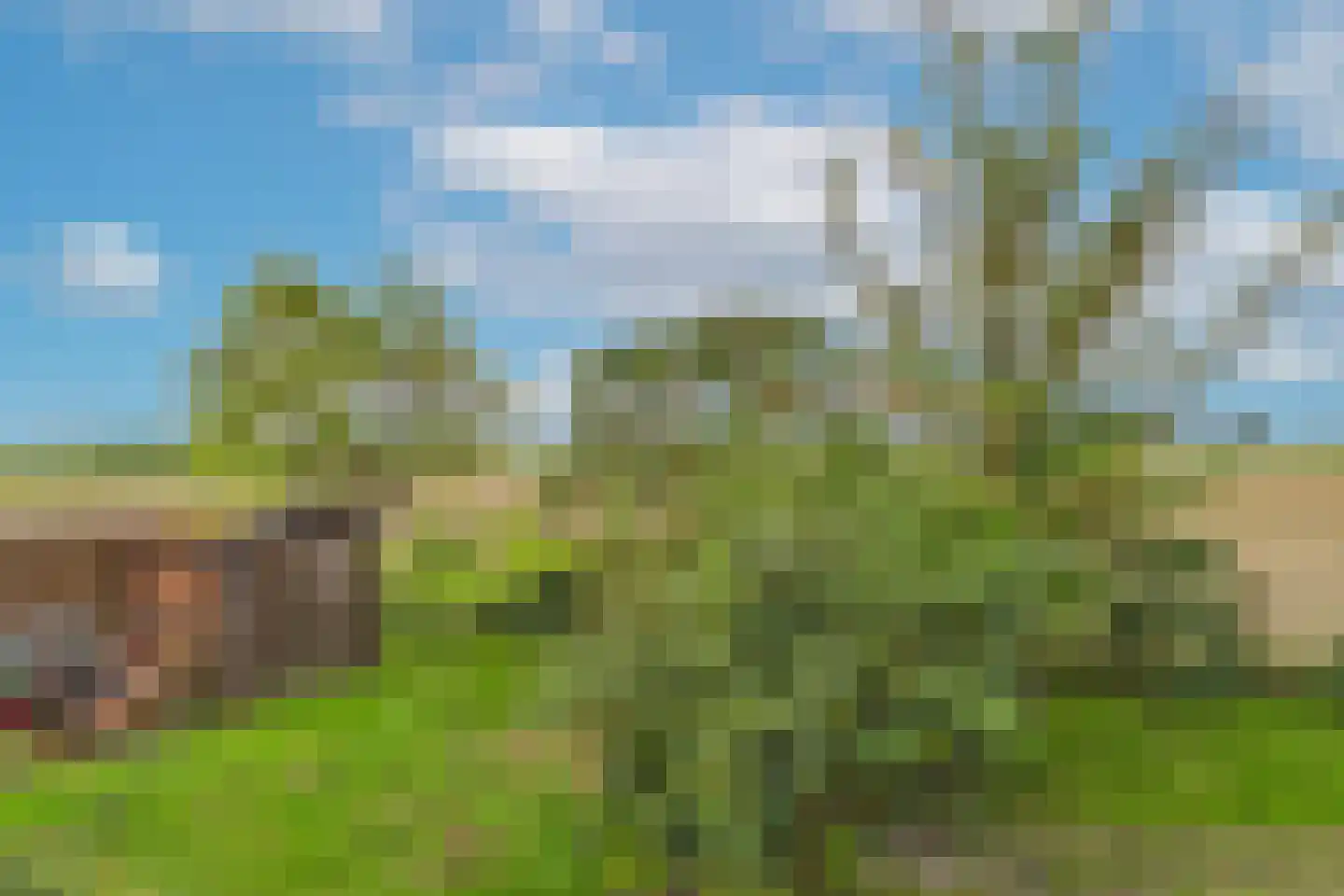 Hulsterweg 144 Terhole thumbnail 39
