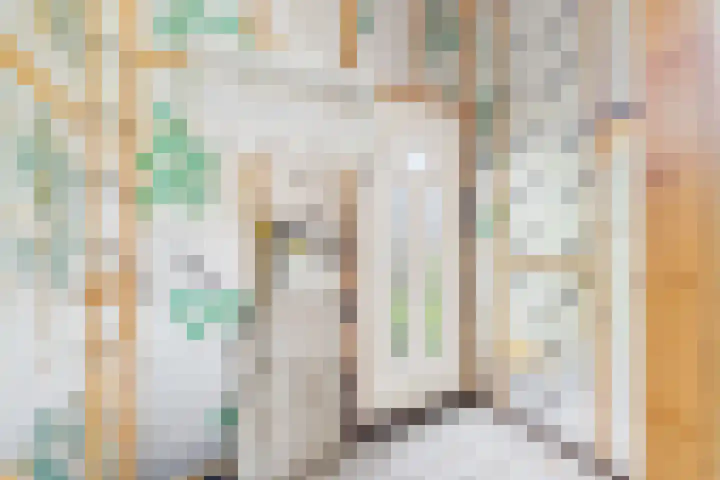 Hulsterweg 144 Terhole thumbnail 9