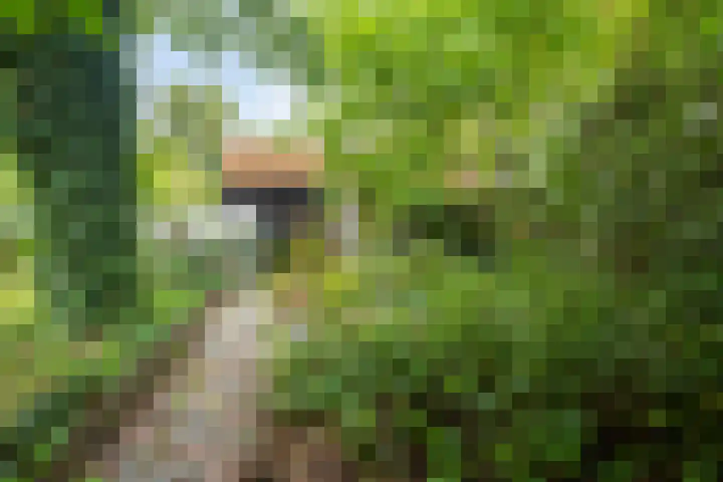 Hulsterweg 166 Terhole thumbnail 29