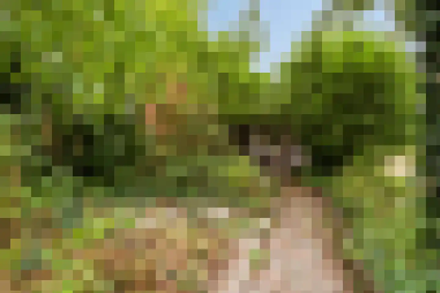 Hulsterweg 166 Terhole thumbnail 30