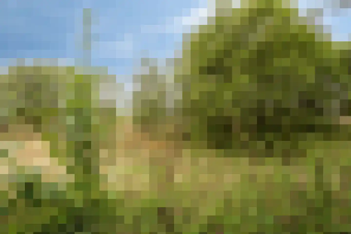 Hulsterweg 166 Terhole thumbnail 31