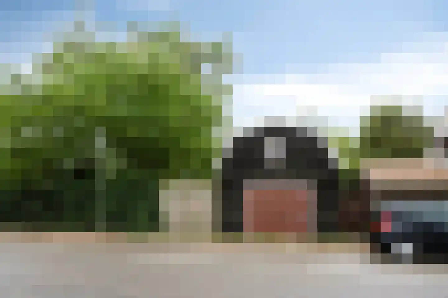 Hulsterweg 166 Terhole thumbnail 4
