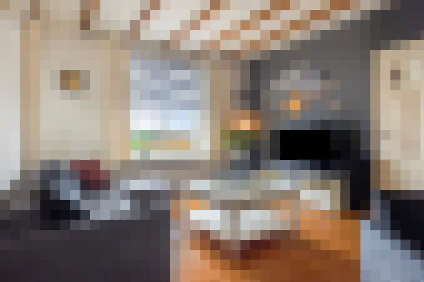 Hulsterweg 166 Terhole thumbnail 7