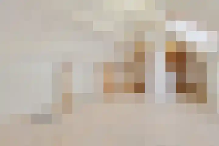Hulsterweg 24 Tegelen thumbnail 34