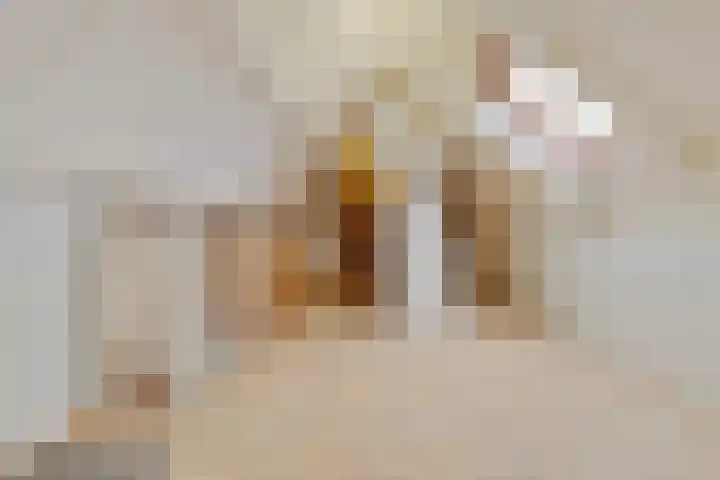 Hulsterweg 24 Tegelen thumbnail 35