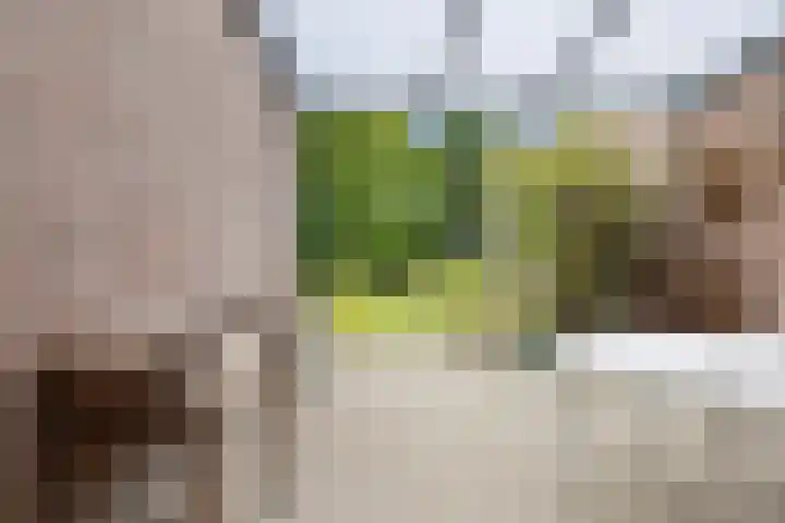 Hulsterweg 24 Tegelen thumbnail 37