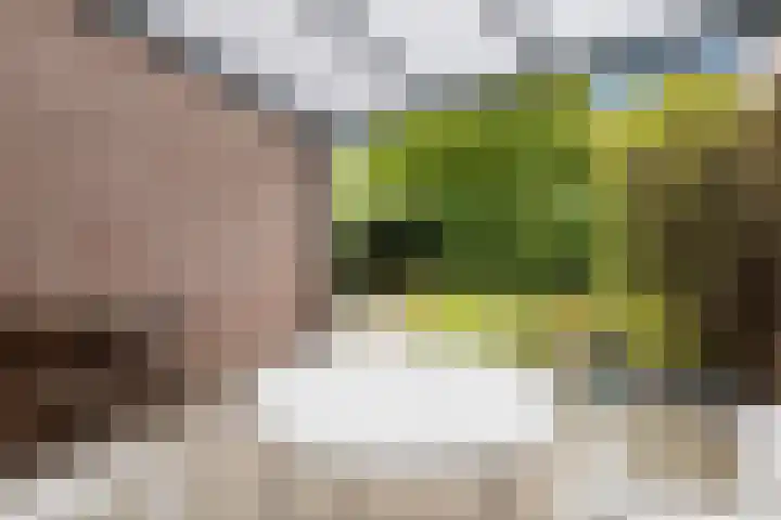 Hulsterweg 24 Tegelen thumbnail 38