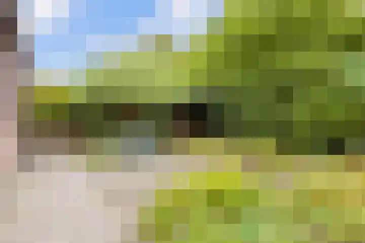 Hulsterweg 24 Tegelen thumbnail 39