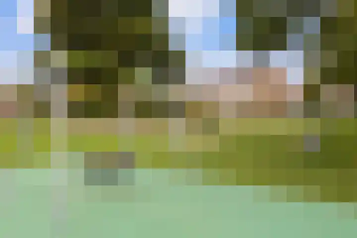 Hulsterweg 24 Tegelen thumbnail 43