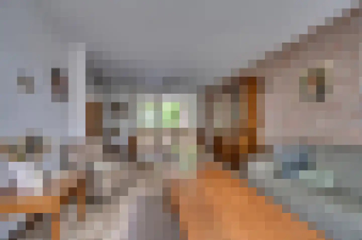 Hulsterweg 26 Tegelen thumbnail 10