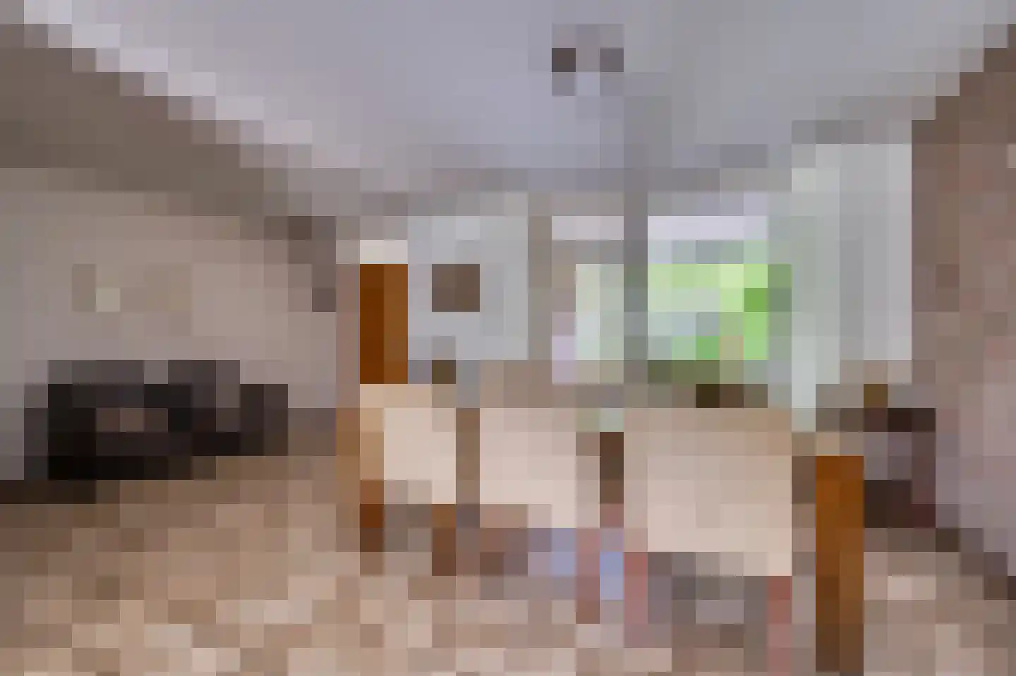 Hulsterweg 26 Tegelen thumbnail 11