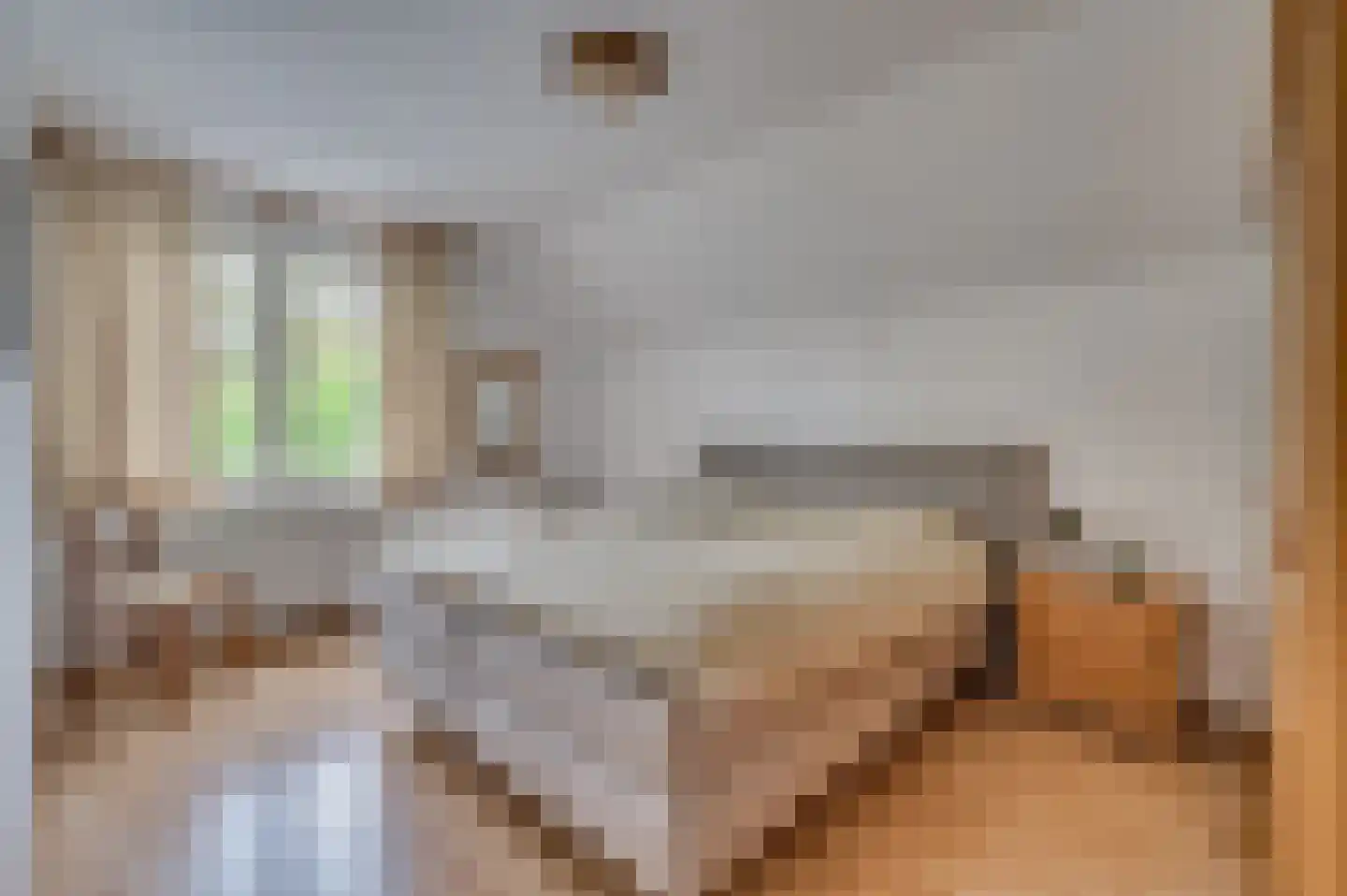 Hulsterweg 26 Tegelen thumbnail 19