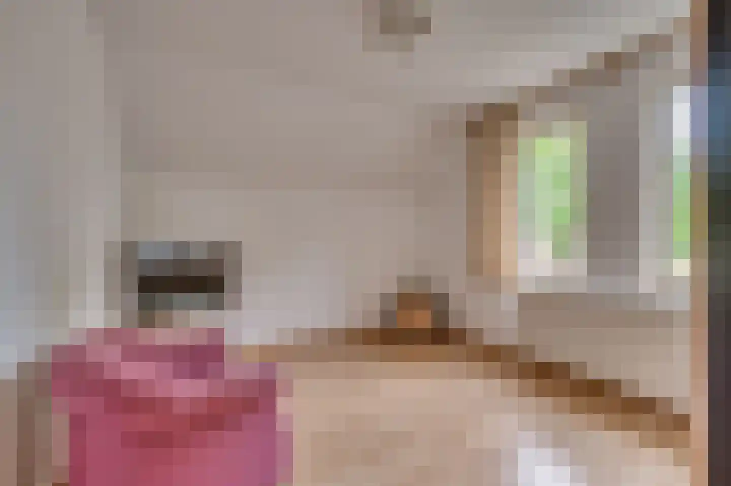 Hulsterweg 26 Tegelen thumbnail 21