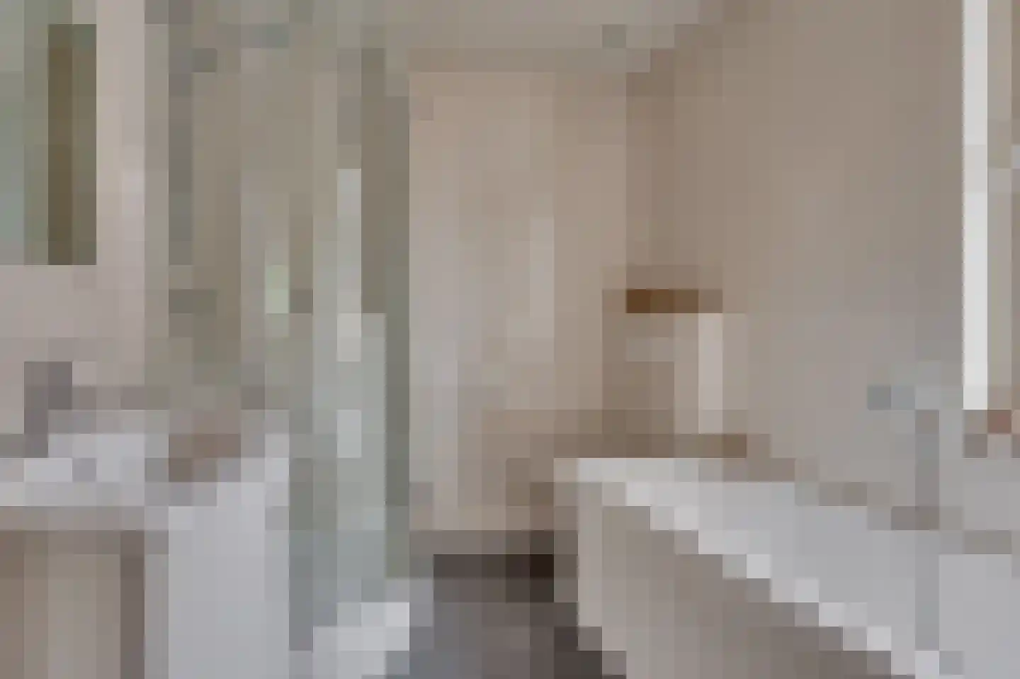 Hulsterweg 26 Tegelen thumbnail 24