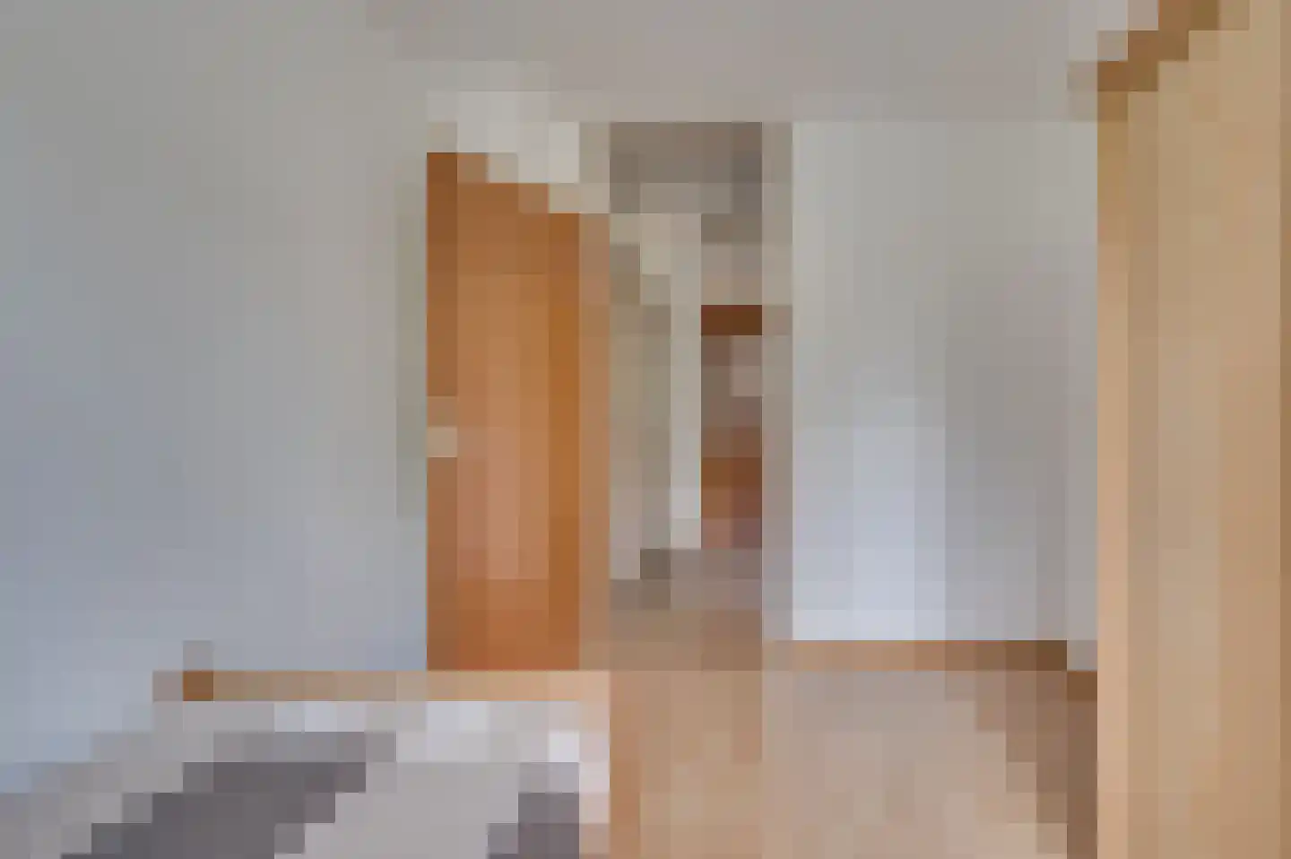 Hulsterweg 26 Tegelen thumbnail 28