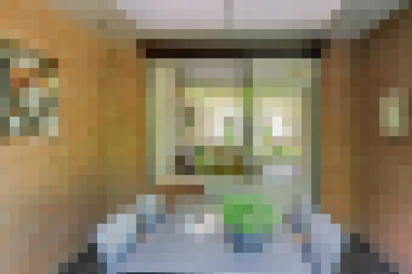 Hulsterweg 26 Tegelen thumbnail 33
