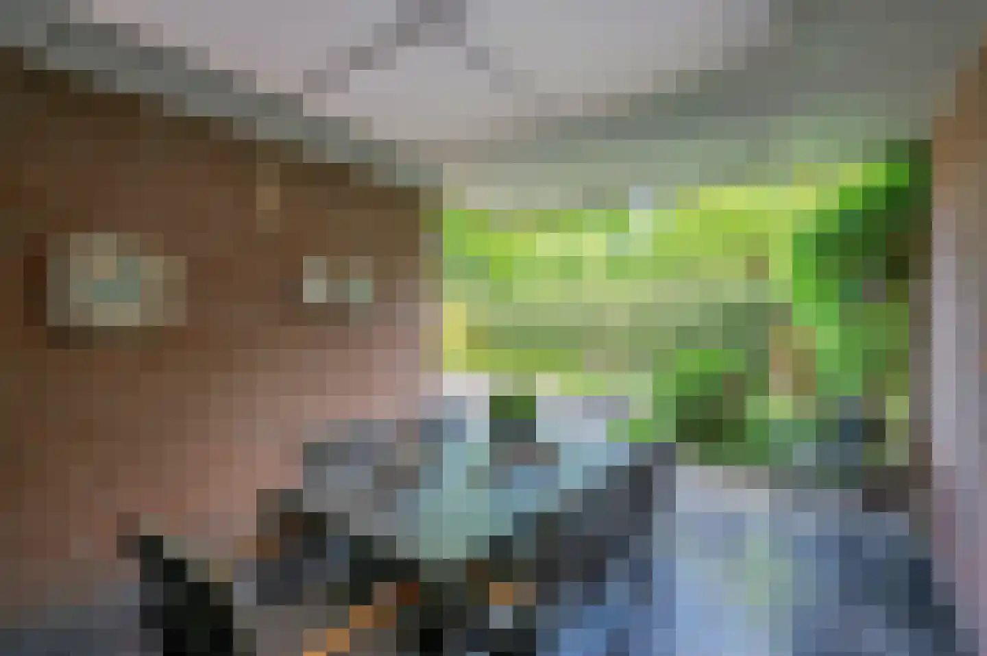 Hulsterweg 26 Tegelen thumbnail 34