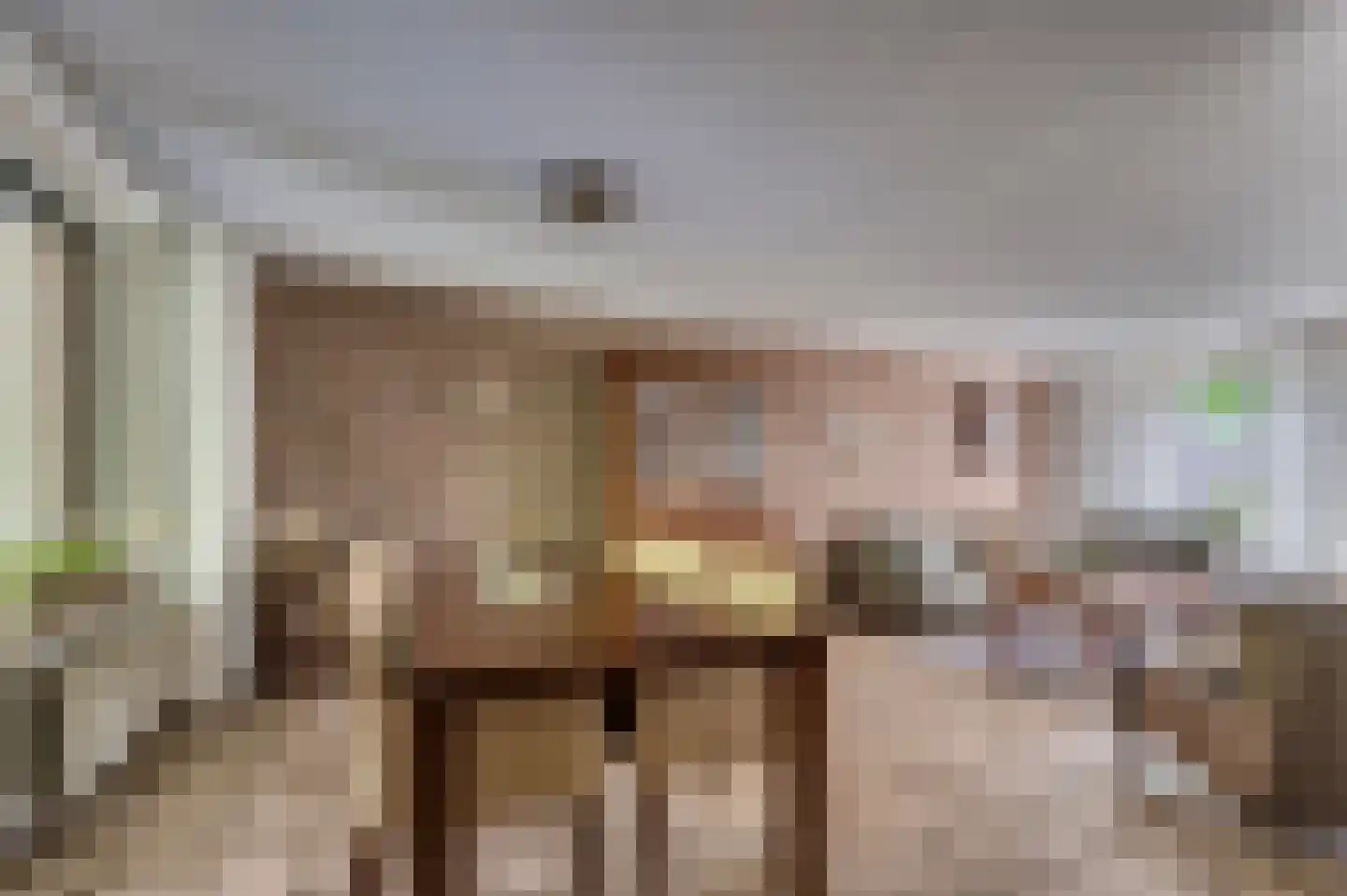 Hulsterweg 26 Tegelen thumbnail 5