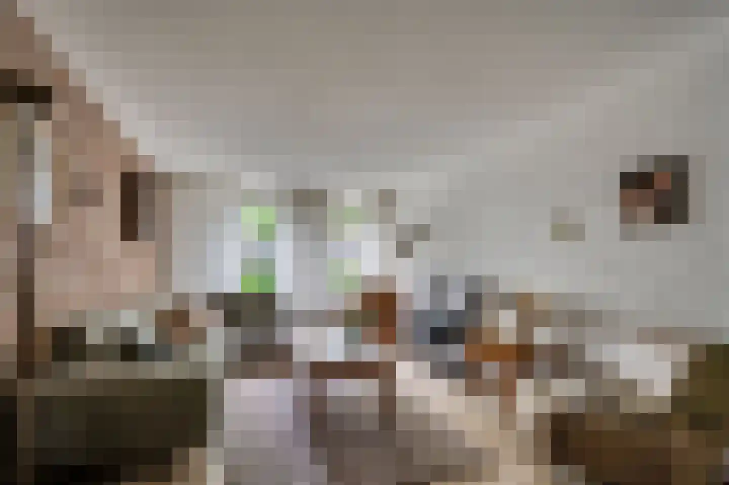 Hulsterweg 26 Tegelen thumbnail 6