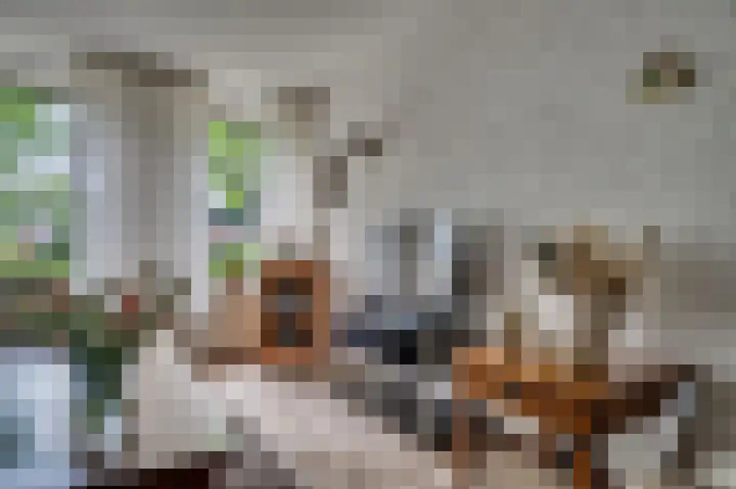 Hulsterweg 26 Tegelen thumbnail 7
