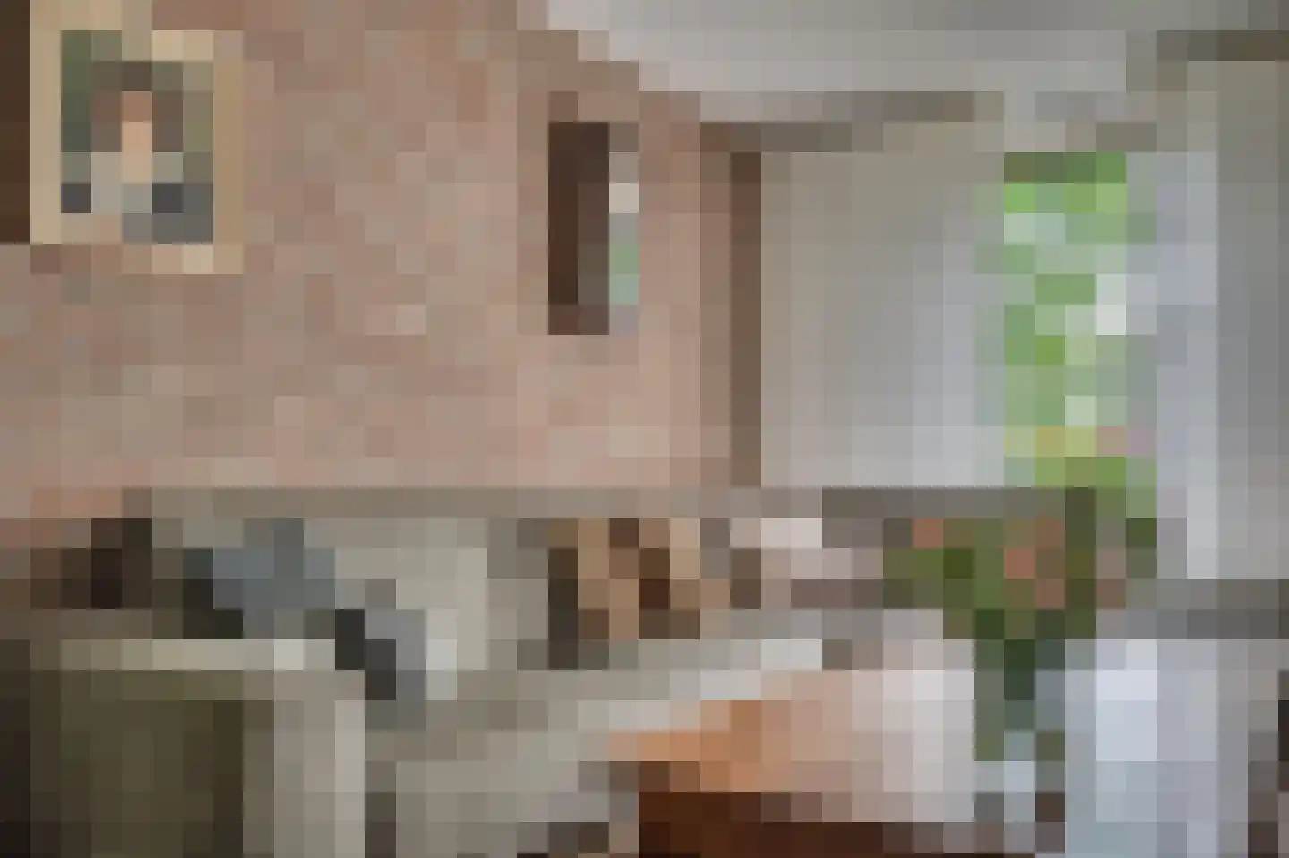 Hulsterweg 26 Tegelen thumbnail 8