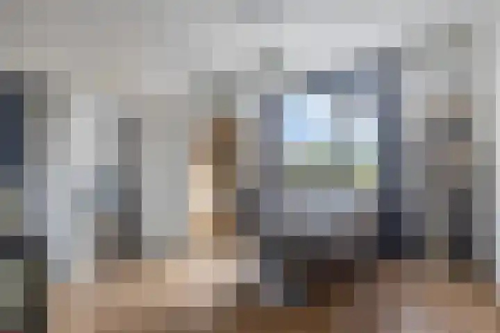 Hulsterweg 29 Kloosterzande thumbnail 10