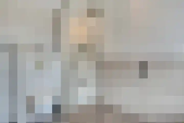 Hulsterweg 29 Kloosterzande thumbnail 17