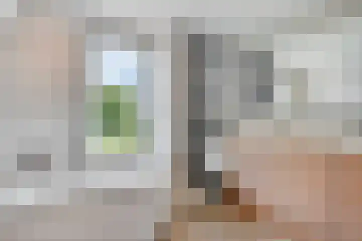 Hulsterweg 29 Kloosterzande thumbnail 18